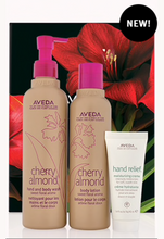 Load image into Gallery viewer, Cherry Almond Hand &amp; Body Wash

